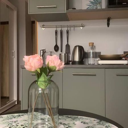 Apartment Near Ozas VNO Dış mekan fotoğraf