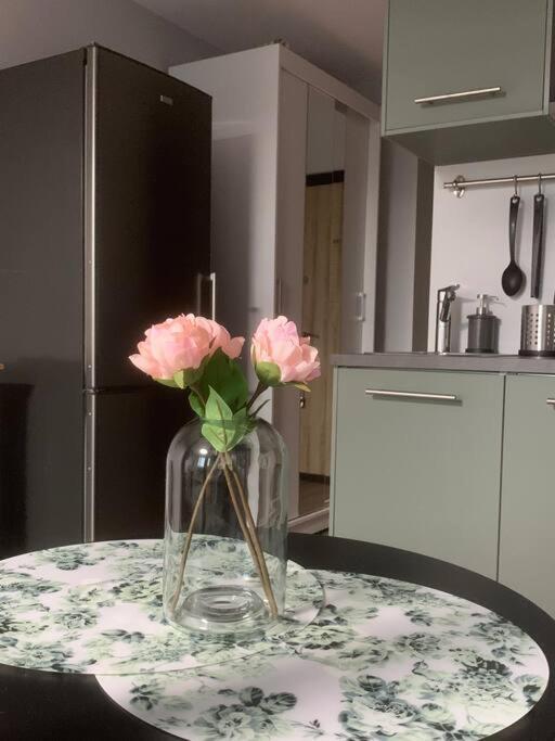 Apartment Near Ozas VNO Dış mekan fotoğraf